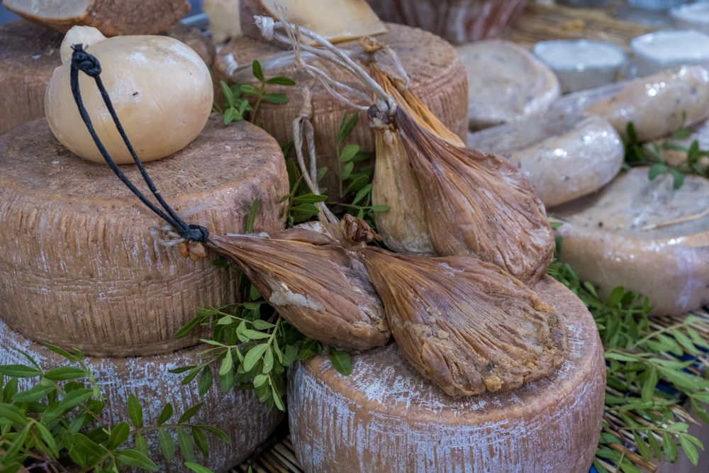 Mai multe bucăți de casu marzu, brânza care este interzisă în lume