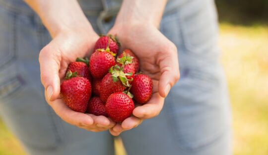 Cum să alegi cele mai bune căpșuni. Trucuri utile pentru momentele în care mergi la cumpărături