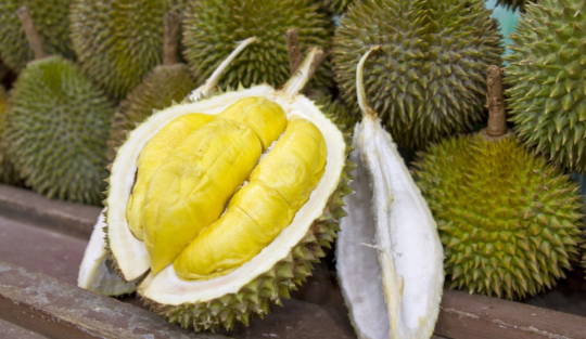 Fructul durian secționat pe jumătate pentru a ilustra cum arată pe interior