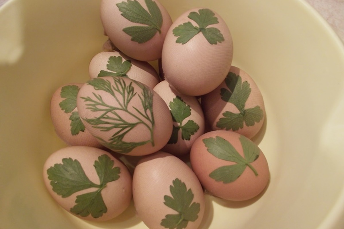 Ouă cu frunzulișe legate în bucăți de ciorap, pregătite pentru vopsire