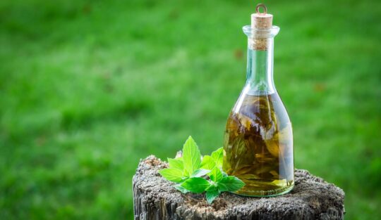 Sticlă cu lichior de mentă și frunze de mentă pe o butură