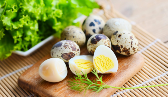 De ce ar trebui să mănânci ouă de prepeliță în fiecare zi. 18 beneficii pentru toată familia