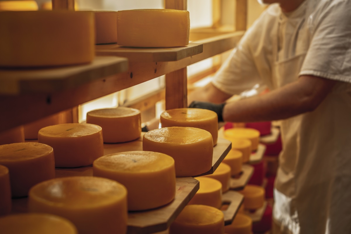 O fabrică în care se află mai multe tipuri de brânzeturi printre care și casin