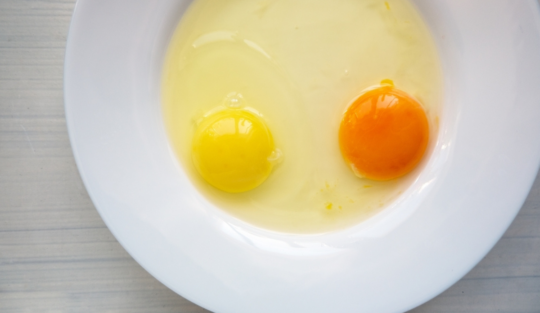 Ce influențează culoarea gălbenușului de ou. La ce concluzii au ajuns specialiștii
